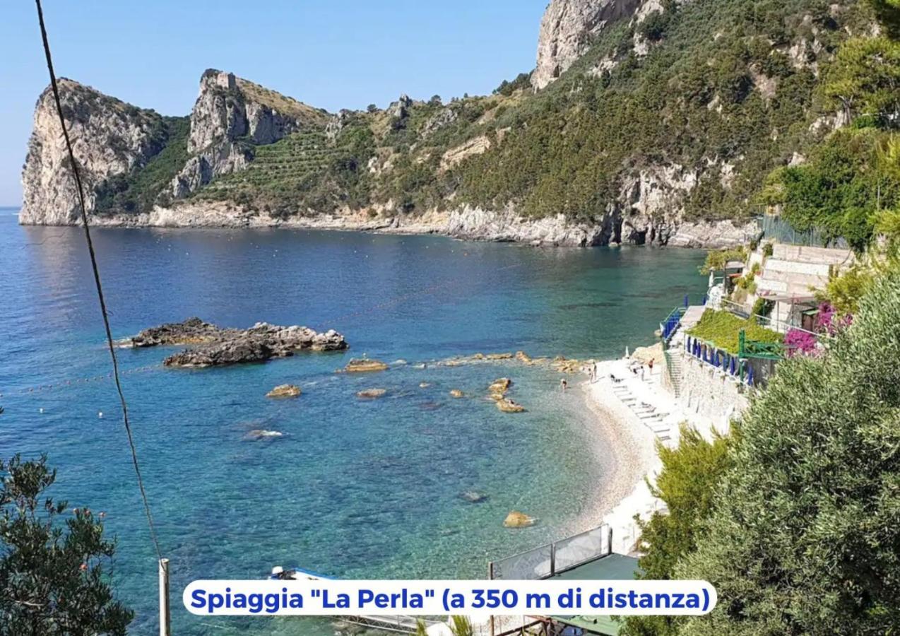 Siren Land - Marina Del Cantone Nerano Buitenkant foto